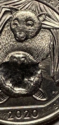 2020 P American Samoa Washington Quarter -Blind Bat Error - Rare -Strike Through - Image 1 of 4