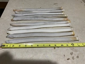 10 - HAYWARD FINGERS POOL FILTER EC30 EC40 EC45 EC65 W3EC65A 13 1/2" SOCK ONLY - Picture 1 of 1