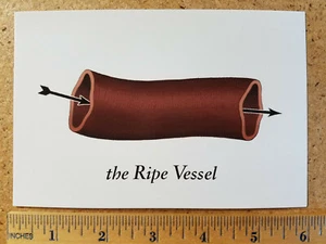Being John Malkovich "The Ripe Vessel" Postcard (Movie Theater Promo) - Picture 1 of 2