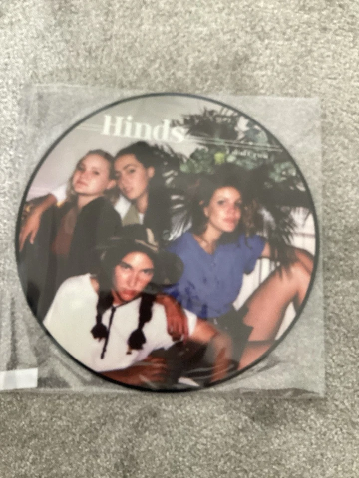 HINDS I Don’t Run Picture Disc Vinyl LP in Clear Sleeve  LUCKY116LPP BRAND NEW - Image 1 of 4
