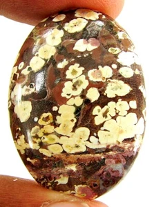 33.70 Ct Natural Leopard Skin Jasper Loose Gemstone Cabochon Wire Wrap - 22914 - Picture 1 of 2