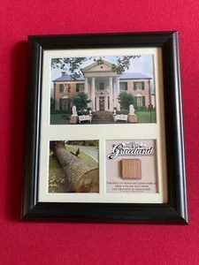 Elvis Presley, "Limited Edition" Graceland Frame (Scarce / Vintage) - Picture 1 of 3