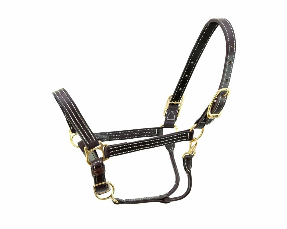 Halter de cuero Walsh Kentucky Foto 1 de 1