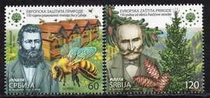 2298 - Serbia 2025 - European Nature Protection - Bees - Picea Omorika - MNH Set - Picture 1 of 2