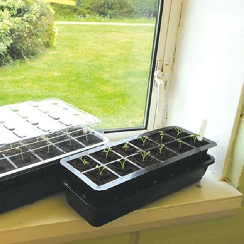Self Watering Plant Seedling Propagator with Lid - 12 Cell Model - Kings Seeds - Image 1 of 1