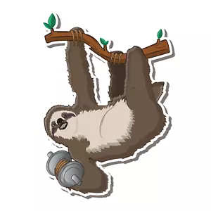 Funny Sloth Gym Workout Vinyl Sticker Decal For Water Bottle Laptop Car - Picture 1 of 1