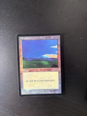 MTG PROMO ARENA DCI FOIL PLAINS NM MAGIC THE GATHERING 2001 ICE AGE ART RARE - Image 1 of 4