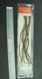 New Whiting Grizzly Dyed Tan Fashion Pack Dry Fly Hackle Lot-SF 37 - Picture 1 of 2