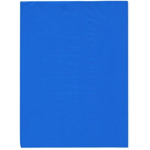 Plymor 9" x 12", Blue 2 Mil Flat Open Plastic Poly Bags - Picture 1 of 4