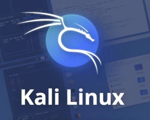 Kali Linux Bootable USB - Picture 1 of 1
