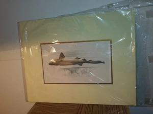 Antike Fische der Welt (sechsgeschliffener Hai) 1860 Druck mit Echtheitszertifikat - Bild 1 von 5