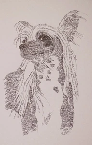 CHINESE CRESTED Dog Art Portrait Print #31 Kline adds dog name free WORD DRAWING - Picture 1 of 12
