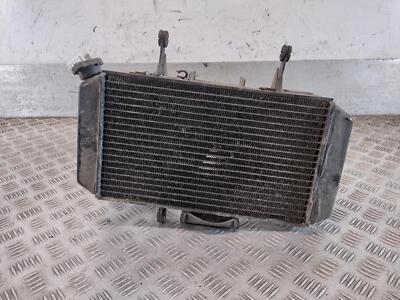 Radiador Suzuki DL 650 V-STROM 2004-2011 Foto 1 de 4