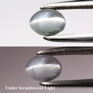 💎 0.62ct Oval Cabochon Natural Green Cat's Eye Alexandrite - Russia Gemstone - Picture 1 of 6