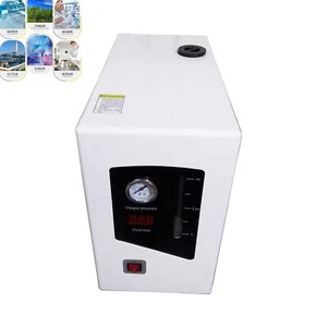 Laboratory Automatic High Purity Hydrogen Generator 300ml/min 110V LED Display - Picture 1 of 10