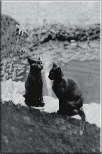 Kompaktspiegel - Frances Benjamin Johnstons Herman und Ungeziefer - 2" x 3" - #7727 - Bild 1 von 2