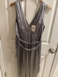 Jonathan Martin Women’s Studio Gray 100% Silk Dress size 10 NWT - Picture 1 of 14
