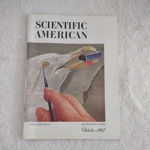 Scientific American Magazine Oktober 1967 Möwenexperiment Imperial 68 - Bild 1 von 5