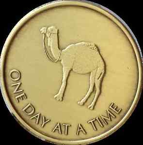 Camel One Day At A Time Greatest Possession 24 Hours Medallion Sobriety Chip AA