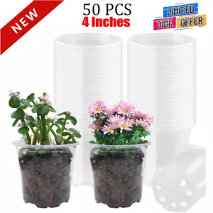 4" Clear Seeding Pots 50-Pack Round for Seeds Starting Germination Nursery Pots - Picture 1 of 7