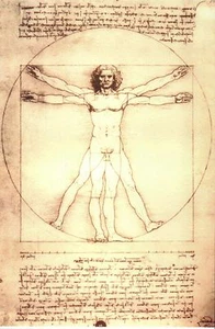 Der vitruvianische Mann von Leonardo da Vinci, Kunstzeichnung um 1490 - moderne Postkarte - Bild 1 von 2