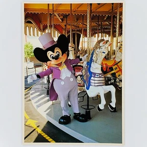 Prince Charming Regal Carrousel Horse Photo Postcard Magic Kingdom Disney World - Picture 1 of 2