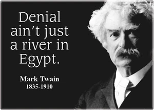 Magnet - Mark Twain ""Denial Ain't Just A River In Egypt"" - 3,5"" x 2,5"" - #31502 - Bild 1 von 2