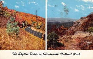Postcard TN: Skyline Drive, Shenandoah National Park, Tennessee, Posted 1960 - Picture 1 of 2