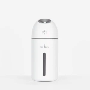 Wireless, Rechargeable, Self-Care, Skin-Nourishing, Hydrating, Portable Cool ... - Picture 1 of 8