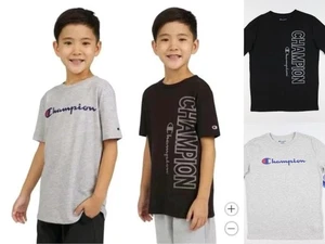 Champion Youth 2-pack Tee Shirts Boys Gray Black L 14/16 Embroidered Graphic - Picture 1 of 13