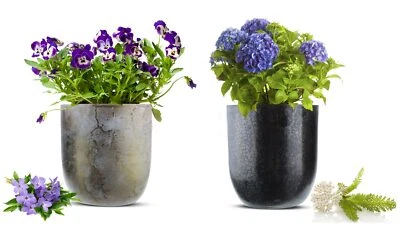 2 x Übertopf aus Metall Pflanzentopf Blumenkübel Blumenübertopf Vase Blumentopf - Bild 1 von 4