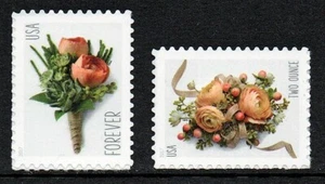 Estados Unidos 2017 - Celebración B. & C. - s/a - MiNr. 5392-5393; Scott # 5199-5200 - Imagen 1 de 1