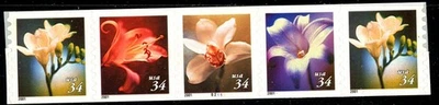 Four Flowers 34c Type PNC5 PL B2111 MNH Scott's 3478 3479 3480 & 3481          ~ - Image 1 of 2