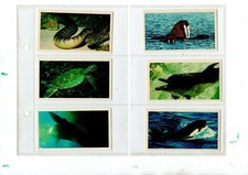 EB14a - Full Original cigarette card set - sport - fauna - military - art -