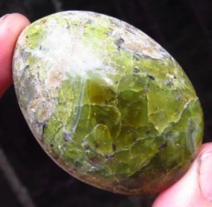 GREEN OPAL GORGEOUS RARE AAA GRADE POLISHED CRYSTAL PALMSTONE MADAGASCAR *3 - Picture 1 of 8