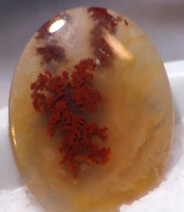 Carey Plume Agate Oval Cabochon 19 carats - Picture 1 of 5