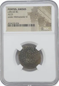 Rare Ancient Coin - Pontus Amisus Under Mithradates - NGC Slab (Ng) - Picture 1 of 5