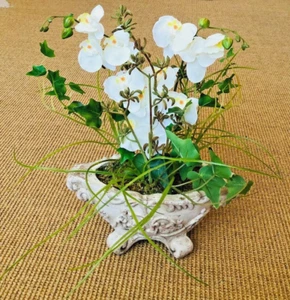 Künstliche Orchidee in rustikaler Keramikschale Höhe ca. 40 cm Kunstpflanze - Bild 1 von 7