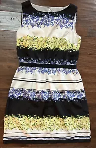 LOFT Damen gestreiftes Blumenmusterkleid ärmellos Cinch Taillenwechsel Größe Medium - Bild 1 von 8