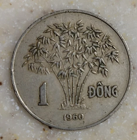 South Vietnam 1 Dong 1960 Coin. Circulated, but not for the last 55 years Cover
