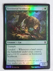 Territorial Scythecat #213 Zendikar Rising Foil Magic the Gathering - Picture 1 of 2