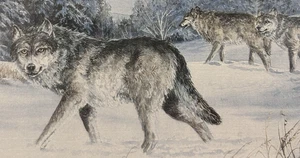 Mary Selfridge original signiert limitierte Ausgabe Wolf Druck, kulturelle Kunst Dekor Geschenke - Bild 1 von 17