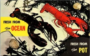 Lobster Fresh The Ocean Fresh From The Pot Postcard - Picture 1 of 2