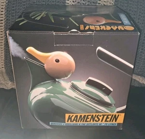 Vintage Kamenstein Green Enamelware Yellow Duck 8" Tea Kettle/Pot Decorative MCM - Picture 1 of 9