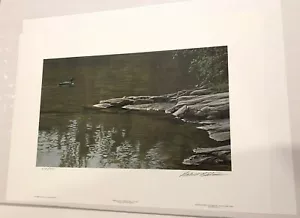 1988 Robert Bateman. "Morning Cove -Common Loon". #872/950Signed Lithograph - Picture 1 of 12