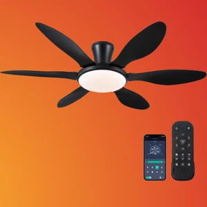 51" Modern Black Ceiling Fan with Lights, Remote/App Control, DC Motor - Picture 1 of 9