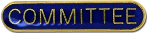 Committee Pin Badge in Blue Enamel With Rounded Edge - Picture 1 of 2
