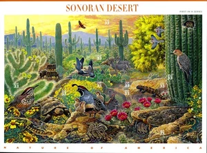 SC# 3293 - 1999 33¢ Nature of America - Sonoran Desert - Sheet of 10 Stamps - Picture 1 of 1