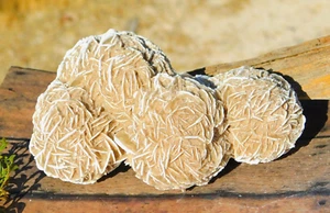 Desert Rose Selenite Large Crystal Cluster 290g for Energy Healing Home Decor - Picture 1 of 8