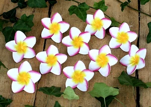 10 Deko Blüten Frangipani Holzblüten Kunstblüten Dekoblüten Blumenblüten bunt Se - Bild 1 von 8